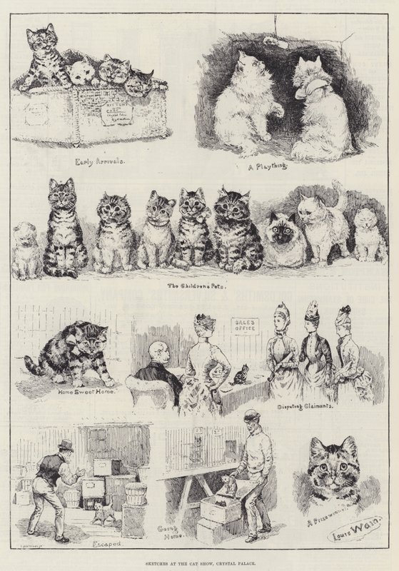 Sketches at the Cat Show, Crystal Palace by Louis Wain