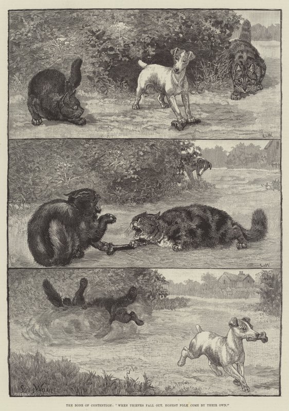 The Bone of Contention, When Thieves fall out, Honest Folk come by their own by Louis Wain