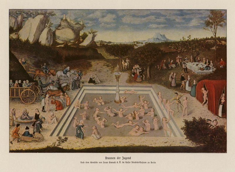 The Fountain of Youth by Lucas the Elder (after) Cranach