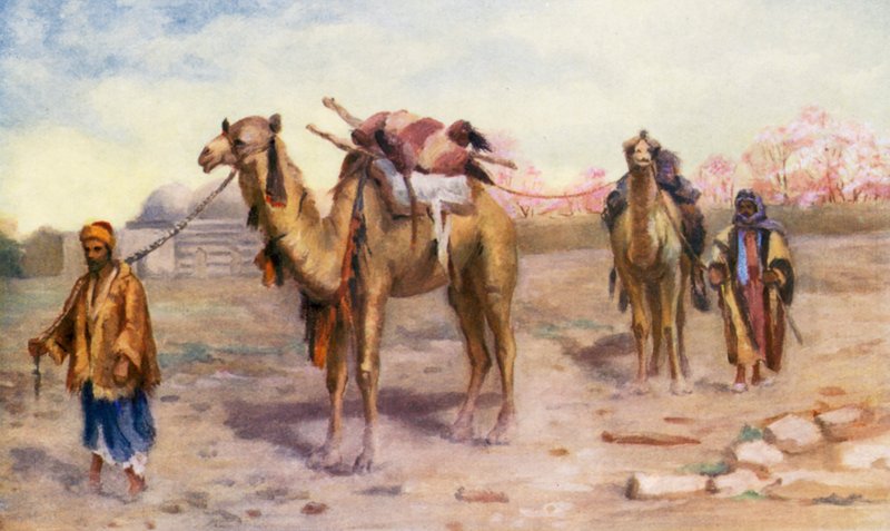 Camels and Drivers outside Damascus by Margaret Thomas