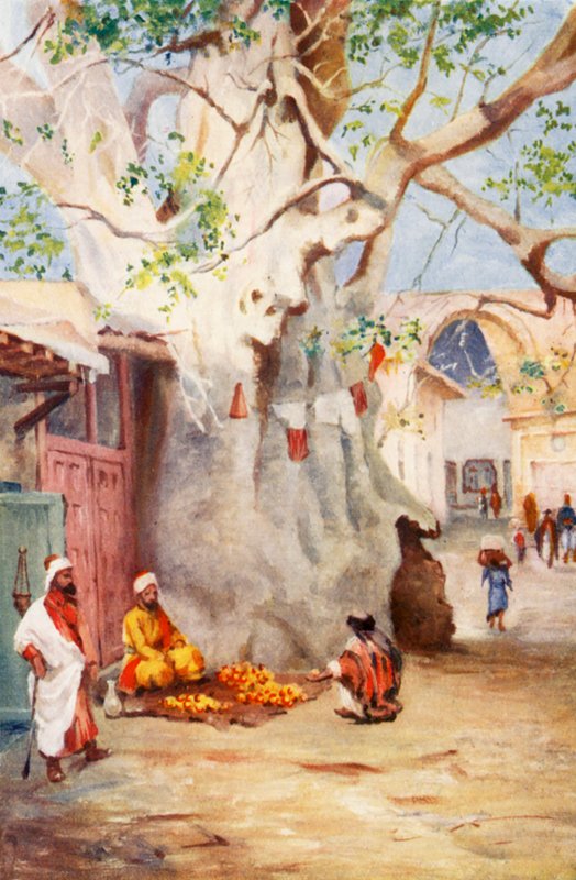 Great Plantain in the Bazaar, Damascus by Margaret Thomas