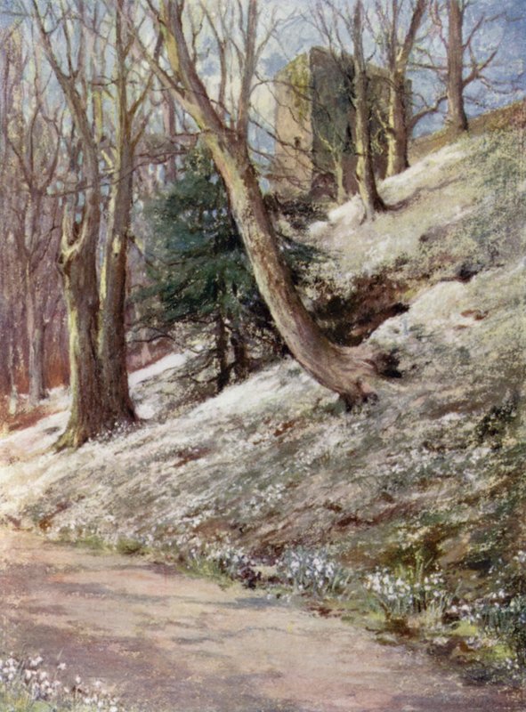 Scottish Gardens: Ardgowan by Mary Georgina Wade Wilson