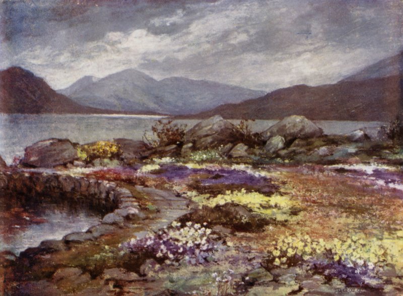 Scottish Gardens: Corrour by Mary Georgina Wade Wilson