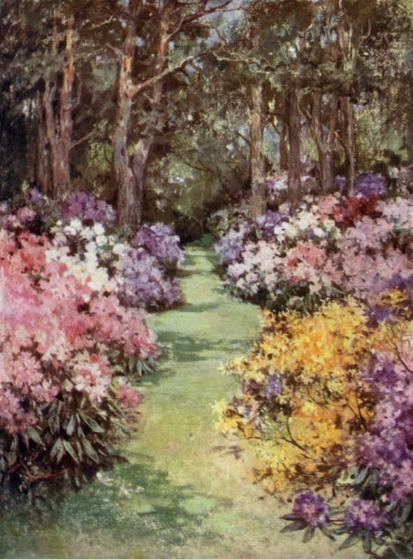 Scottish Gardens: The Hirsel by Mary Georgina Wade Wilson