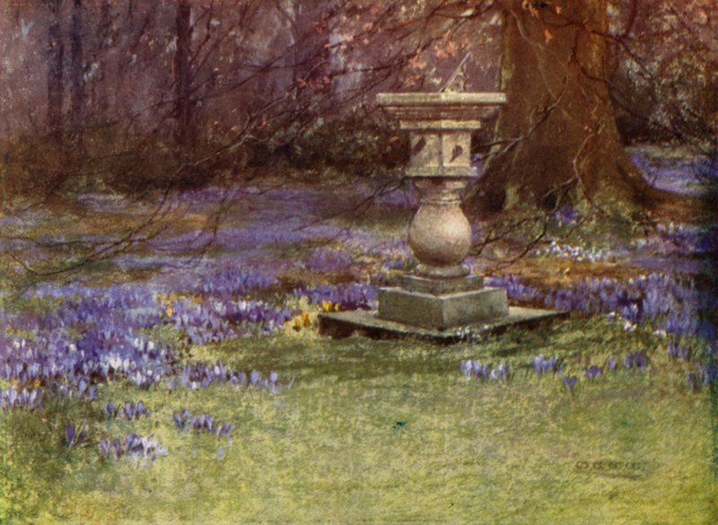 Scottish Gardens: Whitehouse by Mary Georgina Wade Wilson