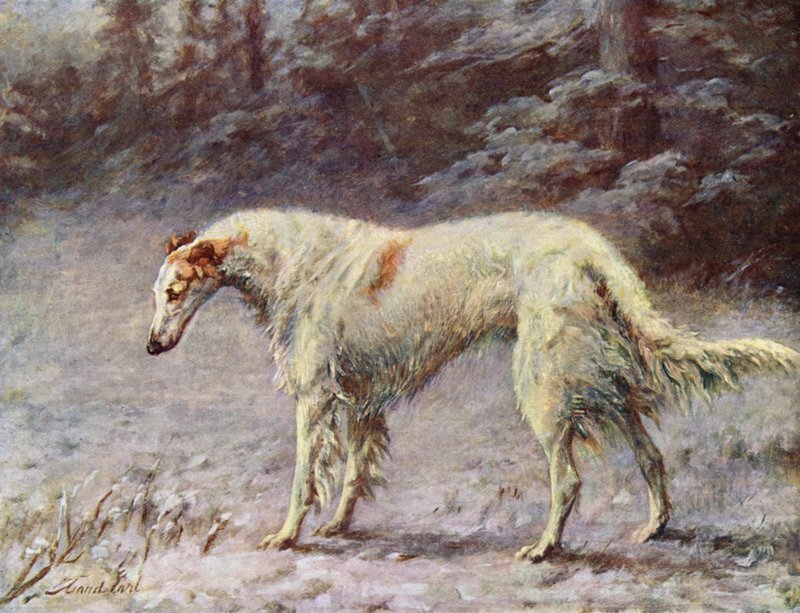Champion Ivan Turgeneff by Maud Earl