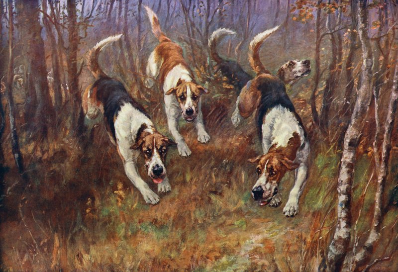 With The Rufford by Maud Earl