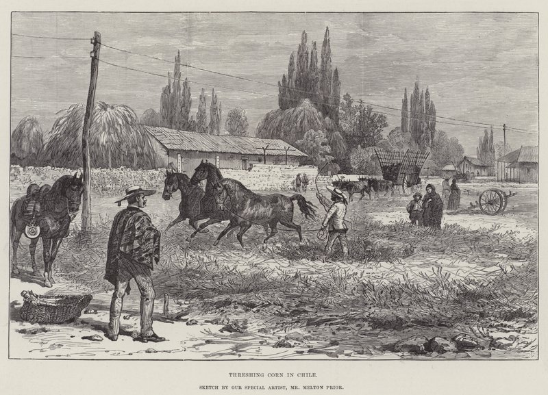 Threshing Corn in Chile by Melton Prior