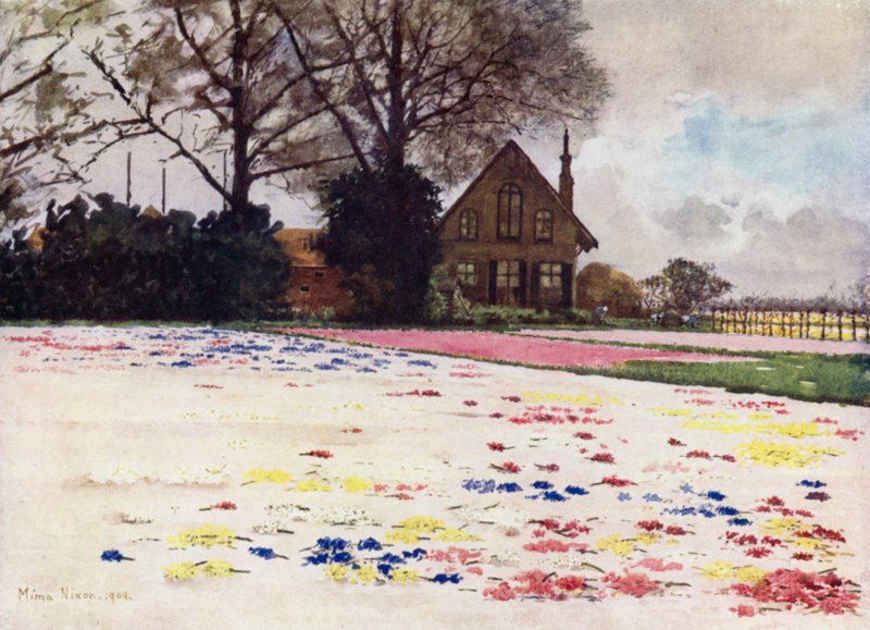 Hyacinths Scattered on the Sand by Mima Nixon