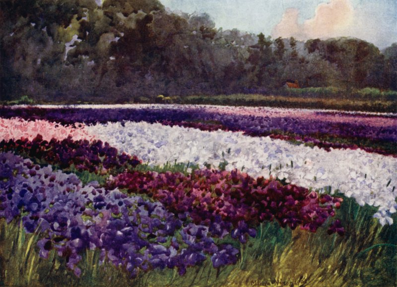 In emerald tufts, flowers purple, blue, and white, like sapphire, pearl, and rich embroidery by Mima Nixon