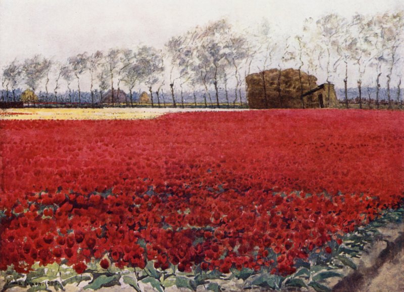 Whose leaves with their crimson glow Hide the heart that lies burning and black below by Mima Nixon
