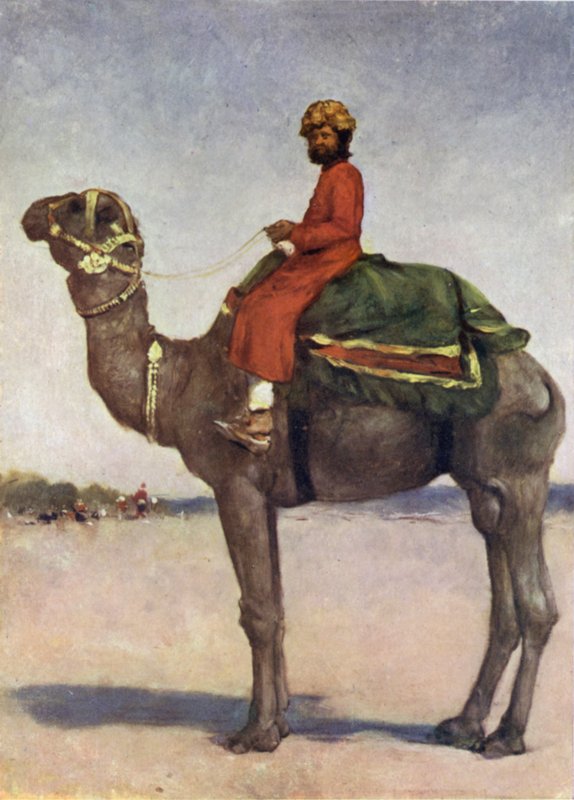 A Camel Rider from Kota by Mortimer Ludington Menpes