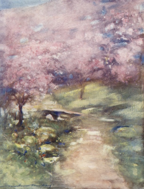 Blossom of the Glen by Mortimer Ludington Menpes