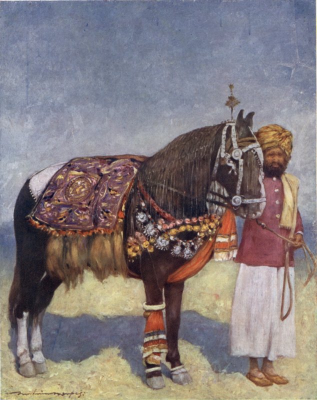 A Horse from Jodhpur by Mortimer Ludington Menpes