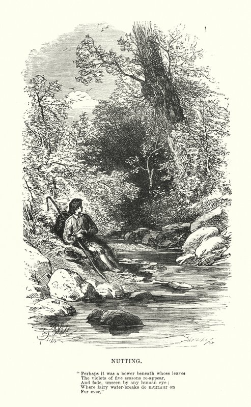 William Wordsworth: Nutting by Myles Birket (after) Foster