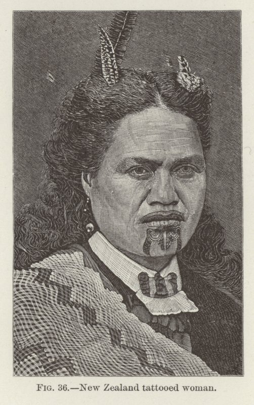 New Zealand Tattooed Woman by New Zealand School