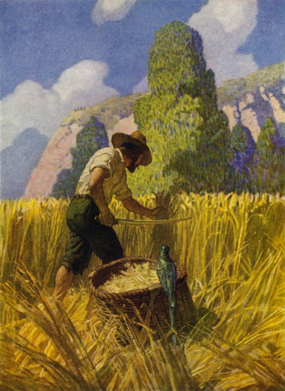 Illustration for Robinson Crusoe by Newell Convers (after) Wyeth