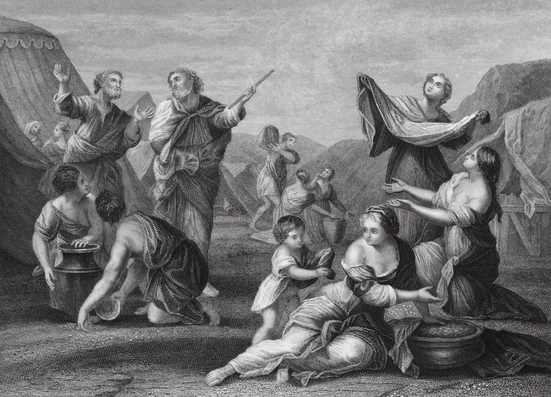 The Fall of Manna, Exodus, Ch 16, vs 14, 24 by Nicolas (after) Poussin