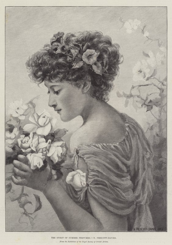 The Spirit of Summer Perfumes by Norman Prescott Davies