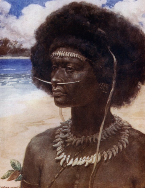 A New Guinea Dandy by Norman Hardy
