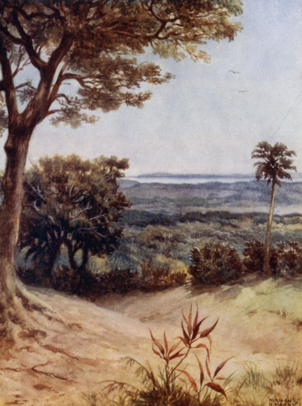 Havannah Harbour, Rathmoy, New Hebrides by Norman Hardy