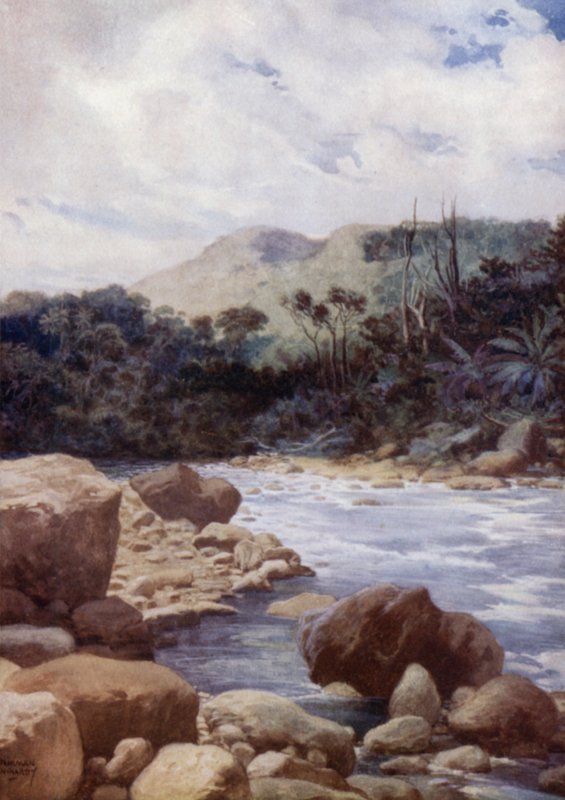 The Rapids, Williams River, Island of Eromanga, New Hebrides by Norman Hardy