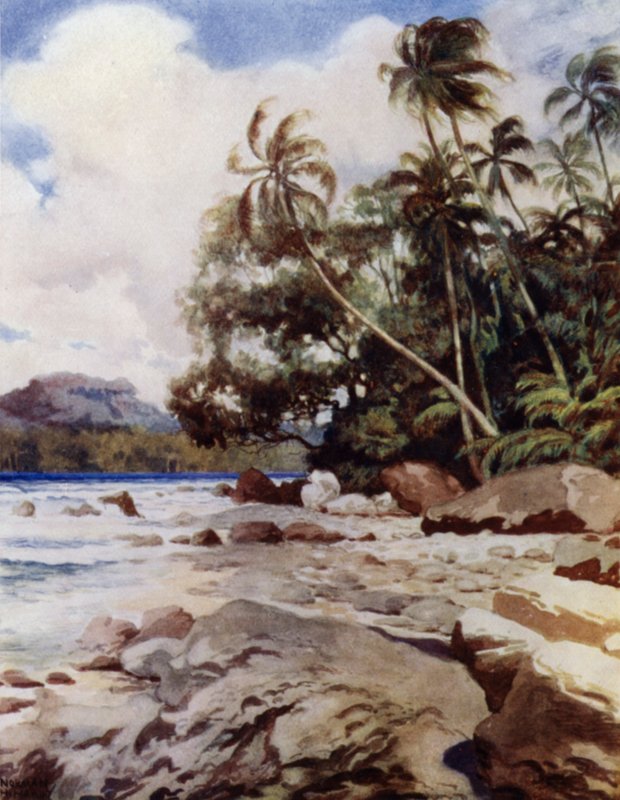 The Reef near Simbo, Solomon Islands by Norman Hardy