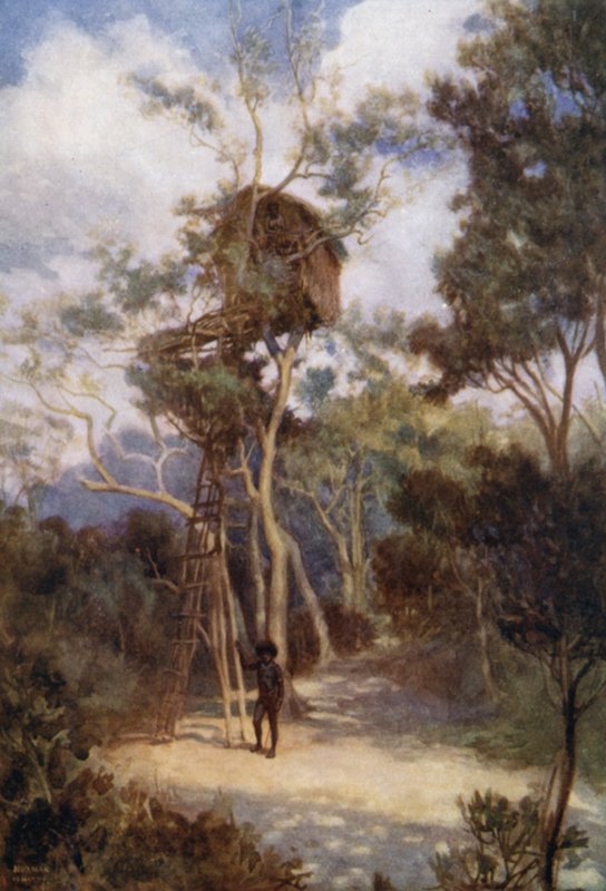 Tree House in British New Guinea by Norman Hardy