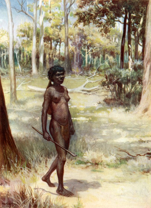 Woman of Queensland: Australia by Norman Hardy