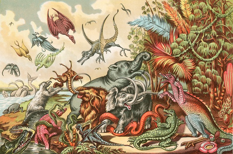 Prehistoric Animals and Reptiles by North American