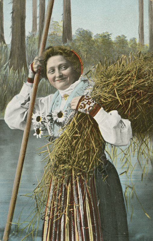 Norwegian girl during harvest by Norwegian Photographer