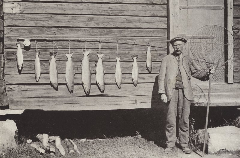Trout Fishing by Norwegian Photographer
