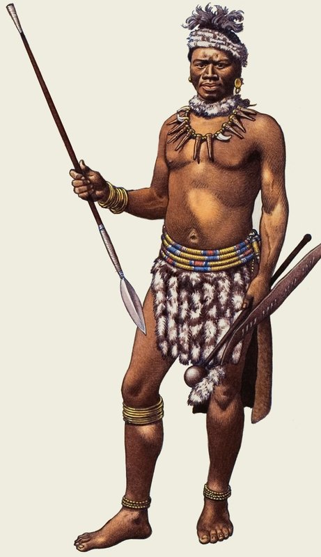 Zulu Warrior by Pat (1907-95) Nicolle