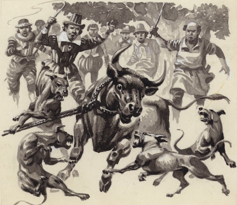Bull baiting by Pat (1907 95) Nicolle