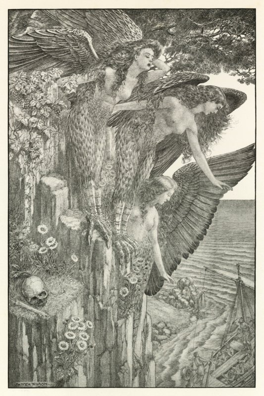 Illustration for Homer