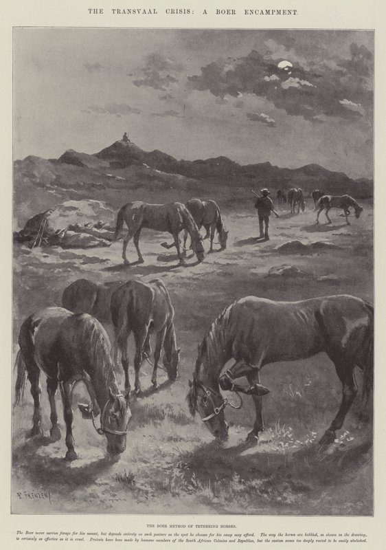 The Transvaal Crisis, a Boer Encampment by Paul Frenzeny