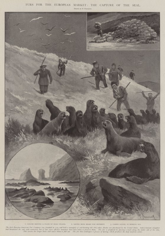 Furs for the European Market, the Capture of the Seal by Paul Frenzeny