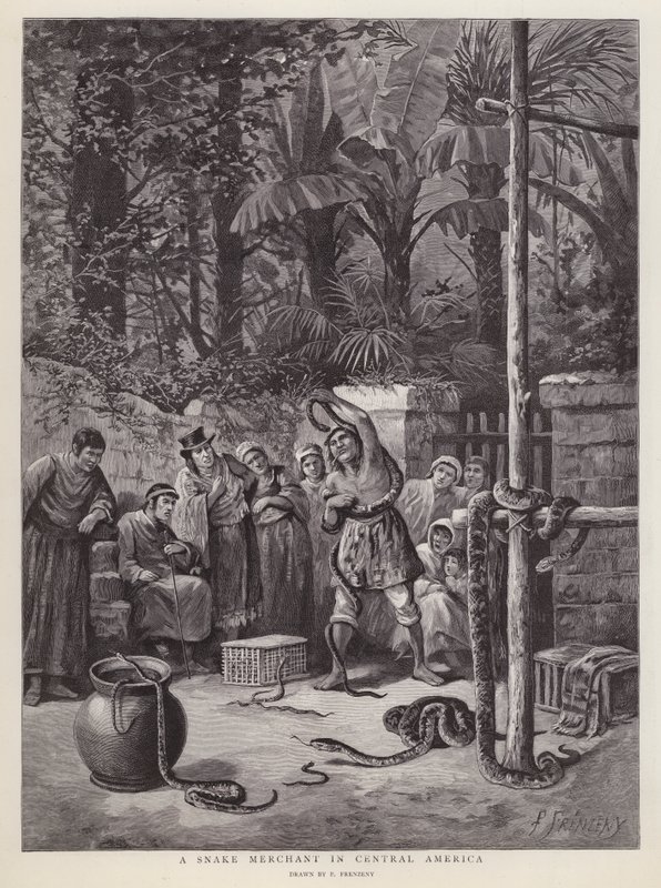 Snake merchant in Central America by Paul Frenzeny