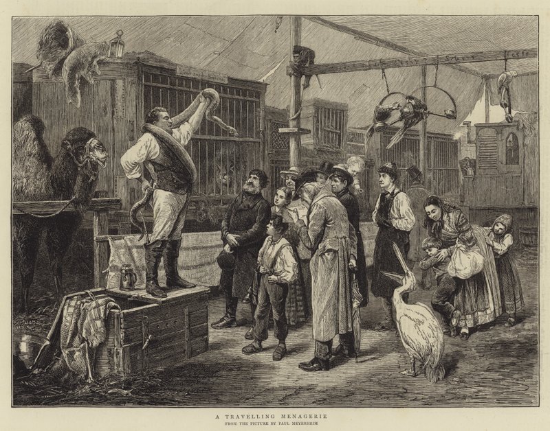 A Travelling Menagerie by Paul Friedrich Meyerheim