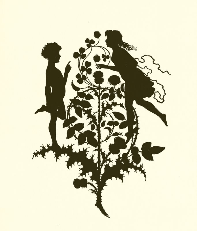 A Midsummer Night