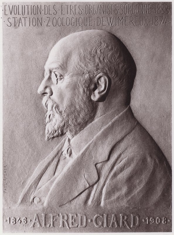 Alfred Giard (1846-1908), Zoologist, Portrait by Paul Marie Louis Pierre Richer