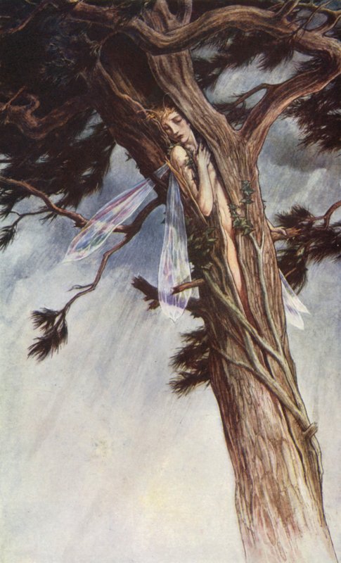 The Tempest by William Shakespeare, Act I, Scene 2 by Paul Vincent Woodroffe