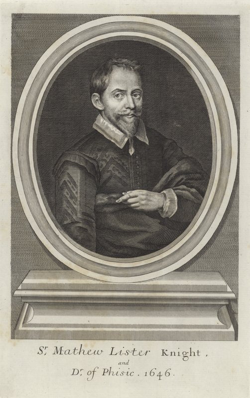 Sir Matthew Lister by Paul van Somer