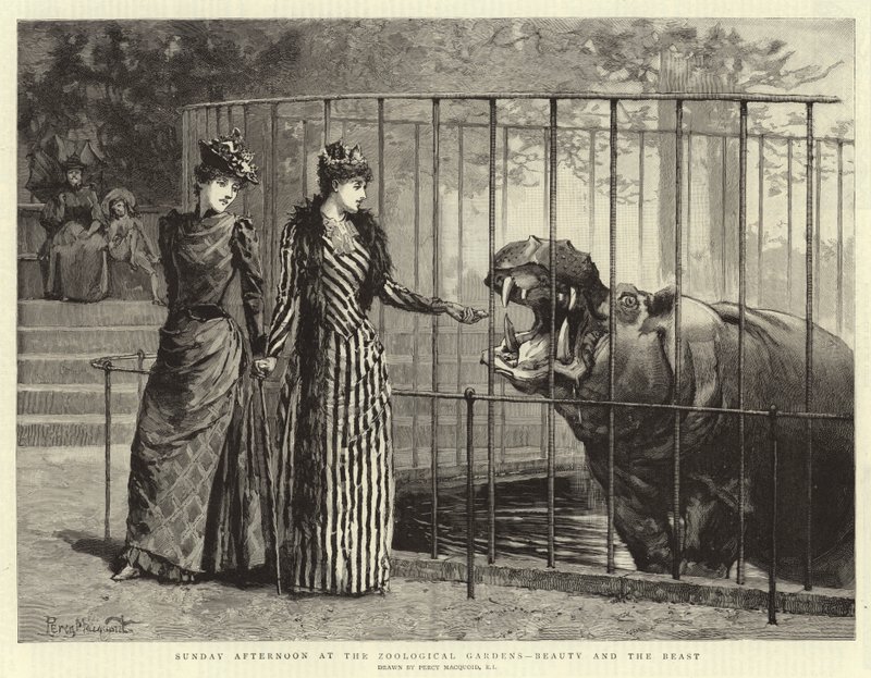 Sunday Afternoon at the Zoological Gardens, Beauty and the Beast by Percy Macquoid