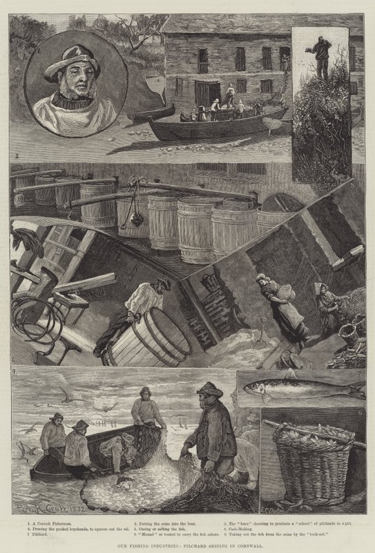 Our Fishing Industries, Pilchard Seining in Cornwall by Percy Robert Craft