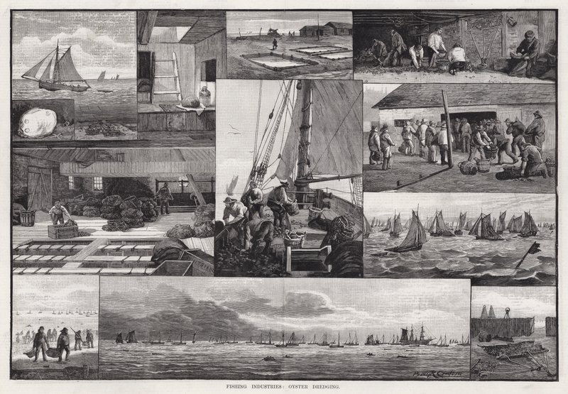 Fishing Industries, Oyster Dredging by Percy Robert Craft