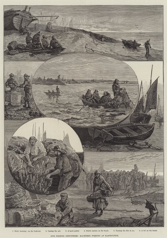 Our Fishing Industries, Mackerel Fishing at Eastbourne by Percy Robert Craft