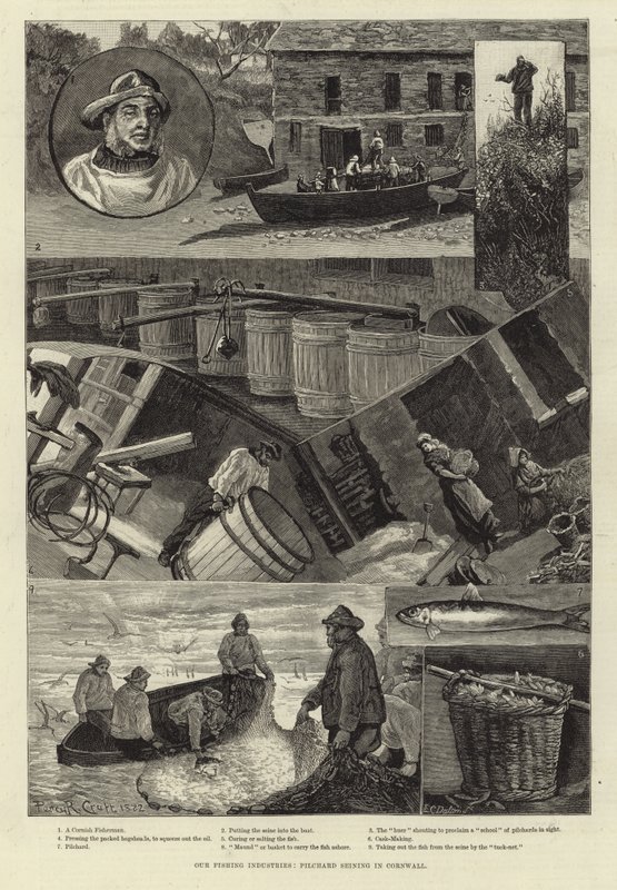 Our Fishing Industries: Pilchard Seining in Cornwall by Percy Robert Craft