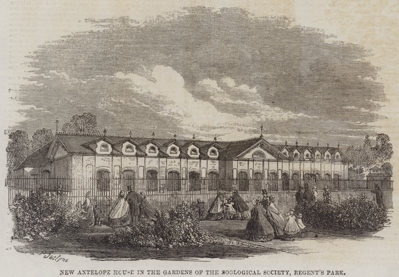 New Antelope House in the Gardens of the Zoological Society, Regent