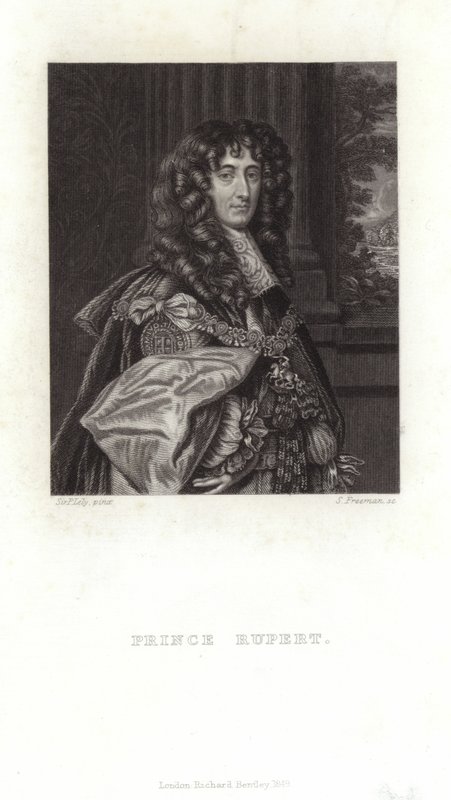 Prince Rupert by Peter Lely